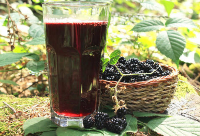 力德福HPP超高压杀菌设备：为黑莓清汁产业发展添翼